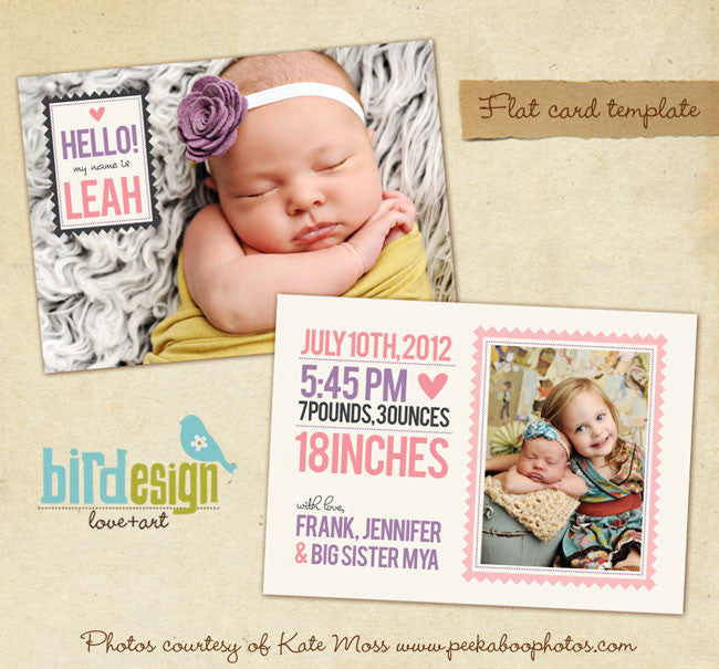 Big sister hot sale birth announcement