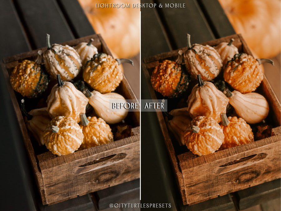 Pumpkin Spice Latte Lightroom Presets - CT72